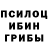 Галлюциногенные грибы Cubensis Dainius Rutkowski